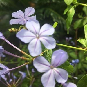 Meet your Posher, Gabby